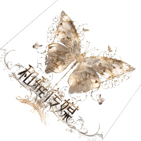 盒子2